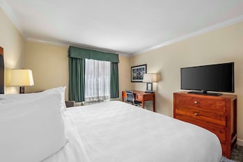 Standard Room, 1 King Bed, Non Smoking, Refrigerator & Microwave