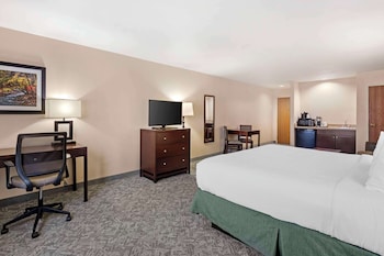 Standard Room, 1 King Bed, Non Smoking, Refrigerator & Microwave (with Sofabed)