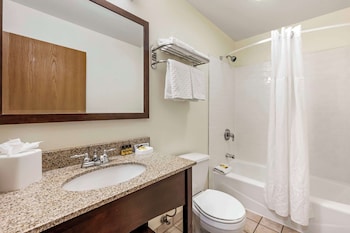 Standard Room, 1 King Bed, Non Smoking, Refrigerator & Microwave (with Sofabed)
