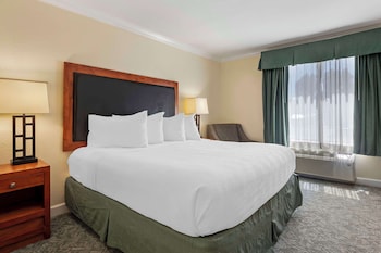 Standard Room, 1 King Bed, Non Smoking, Refrigerator & Microwave