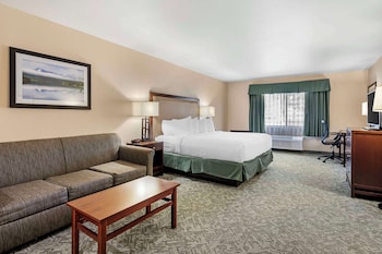 Standard Room, 1 King Bed, Non Smoking, Refrigerator & Microwave (with Sofabed)