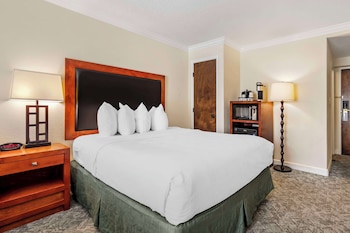 Standard Room, 2 Queen Beds, Non Smoking, Refrigerator & Microwave