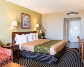 Basic Single Room, Ocean View