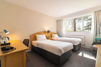 Standard Room, 2 Twin Beds