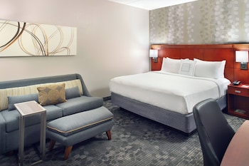Room, 1 King Bed with Sofa bed