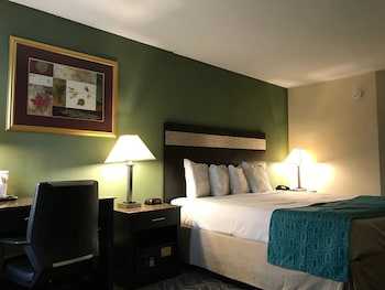 Standard Room, 1 King Bed, Non Smoking