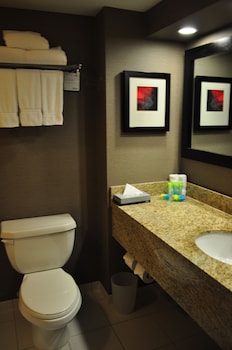 Suite, 1 King Bed, Non Smoking (Penthouse)