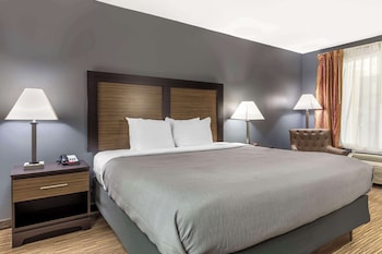 Standard Room, 1 King Bed, Non Smoking