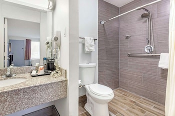 Room, 1 Double Bed, Accessible, Non Smoking