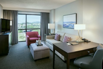 Suite, 1 King Bed