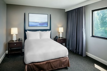 Room, 1 Double Bed, Accessible