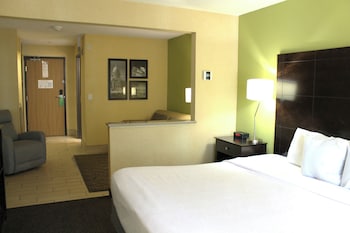 Suite, 1 King Bed, Non Smoking