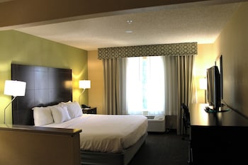 Room, 1 King Bed, Accessible, Non Smoking (Hearing)