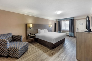 Standard Room, 1 King Bed, Non Smoking
