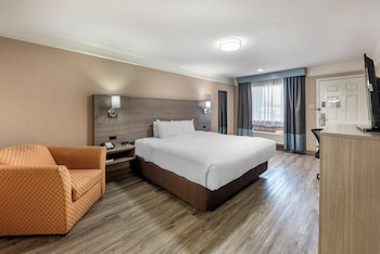 Room, 1 King Bed, Accessible, Non Smoking