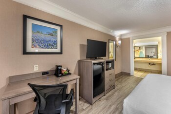 Room, 1 King Bed, Accessible, Non Smoking