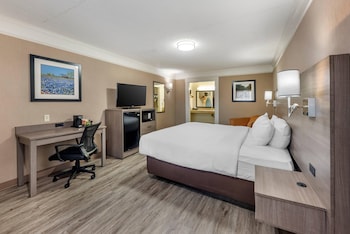 Room, 1 King Bed, Accessible, Non Smoking