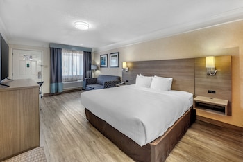 Standard Suite, 1 King Bed, Non Smoking