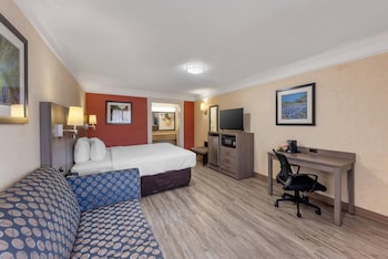 Standard Suite, 1 King Bed, Non Smoking