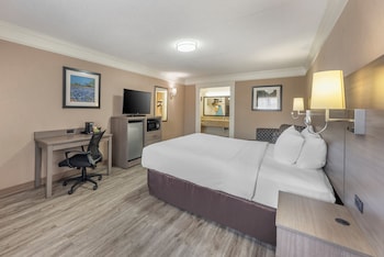 Standard Room, 1 King Bed, Non Smoking