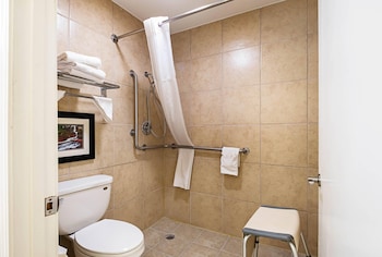 Room, 1 King Bed, Accessible, Non Smoking