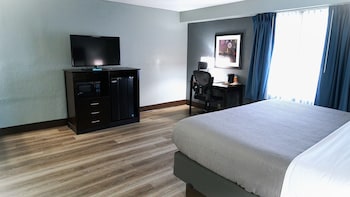 Room, 1 King Bed, Smoking