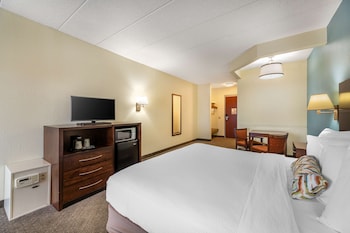 Standard Room, 1 King Bed, Non Smoking, Refrigerator & Microwave
