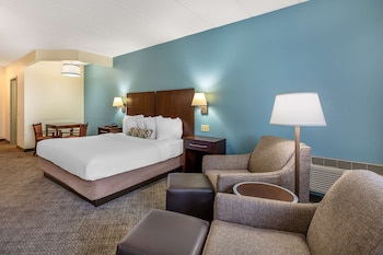 Standard Room, 1 King Bed, Non Smoking, Refrigerator & Microwave