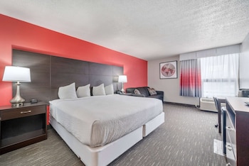 Room, 1 King Bed, Non Smoking