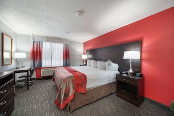 Suite, 1 King Bed, Non Smoking (One-Bedroom)