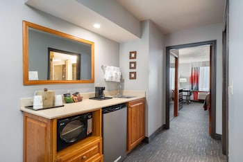 Suite, 1 King Bed, Non Smoking (One-Bedroom)