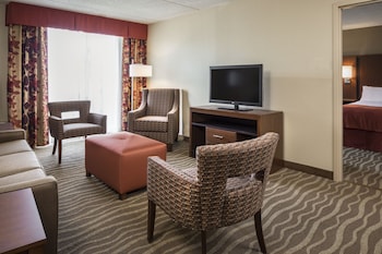 Suite, 1 Bedroom (Living Area)