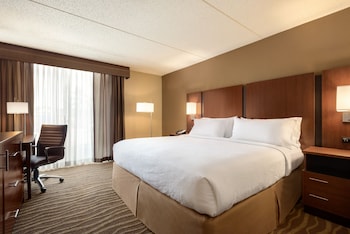 Suite, 1 Bedroom (Living Area)