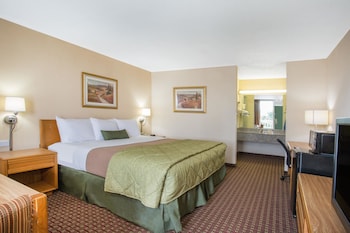 Room, 1 King Bed, Smoking