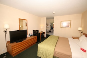 Room, 1 King Bed, Smoking