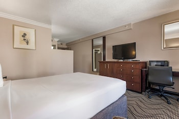 Standard Room, 1 Queen Bed (Queen Bed)