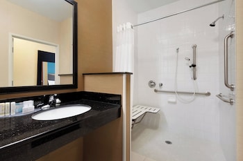Room, 1 King Bed (Mobility Accessible, Transfer Shower)