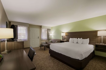 Standard Room, 1 King Bed, Smoking, Refrigerator & Microwave