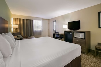 Standard Room, 1 King Bed, Smoking, Refrigerator & Microwave