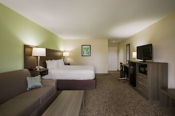 Standard Room, 1 King Bed, Smoking, Refrigerator & Microwave