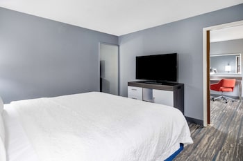 Junior Suite, 1 King Bed with Sofa bed, Kitchenette