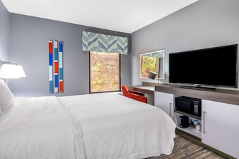 Room, 1 Queen Bed, Mobility Accessible, Microwave