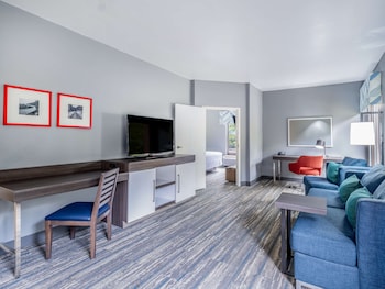 Suite, 1 King Bed with Sofa bed, Kitchenette