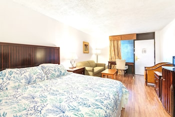 Deluxe Double Room Single Use