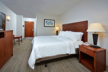 Standard Room, 1 King Bed, Roll-in Shower (Mobility Accessible)