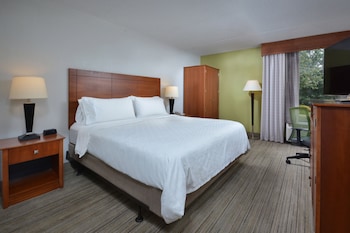 Standard Room, 1 King Bed, Roll-in Shower (Mobility Accessible)