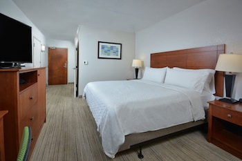 Standard Room, 1 King Bed, Roll-in Shower (Mobility Accessible)