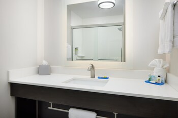 Room, 1 King Bed, Accessible (Hearing Accessible, Roll-in Shower)