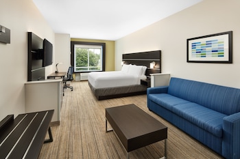 Suite, 1 King Bed with Sofa bed