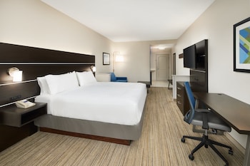 Suite, 1 King Bed with Sofa bed